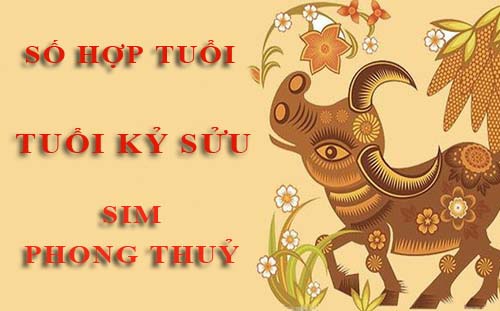 Tuổi Kỷ Sửu hợp với số nào theo phong thuỷ, chọn sim phong thuỷ