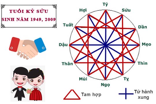 Tuổi Kỷ Sửu hợp với tuổi nào trong làm ăn, tình yêu và hôn nhân