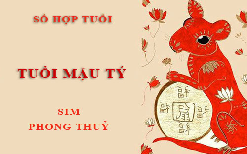 Tuổi Mậu Tý hợp với số nào theo phong thuỷ, chọn sim phong thuỷ