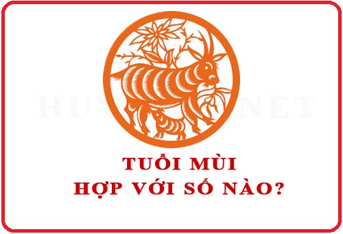 Tuổi Mùi hợp với số nào theo phong thuỷ