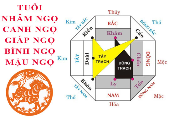 Tuổi Ngọ hợp hướng nào?