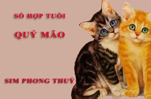 Tuổi Quý Mão hợp với số nào theo phong thuỷ, chọn sim phong thuỷ
