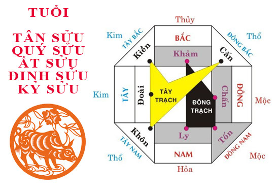Tuổi Sửu hợp hướng nào?