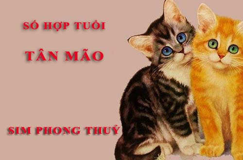 Tuổi Tân Mão hợp với số nào theo phong thuỷ, chọn sim phong thuỷ