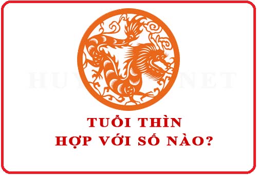Tuổi Thìn hợp với số nào theo phong thuỷ