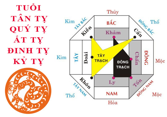 Tuổi Tị hợp hướng nào?