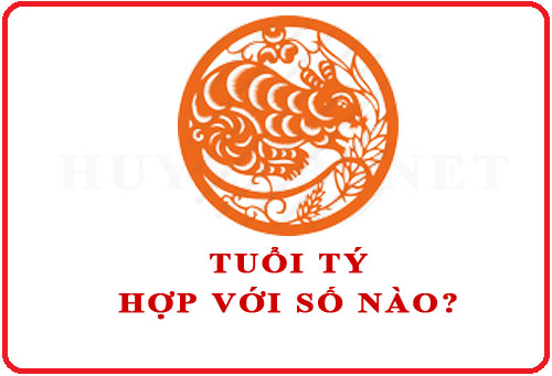 Tuổi Tý hợp với số nào theo phong thuỷ