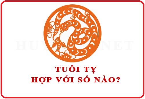 Tuổi Tỵ hợp với số nào theo phong thuỷ