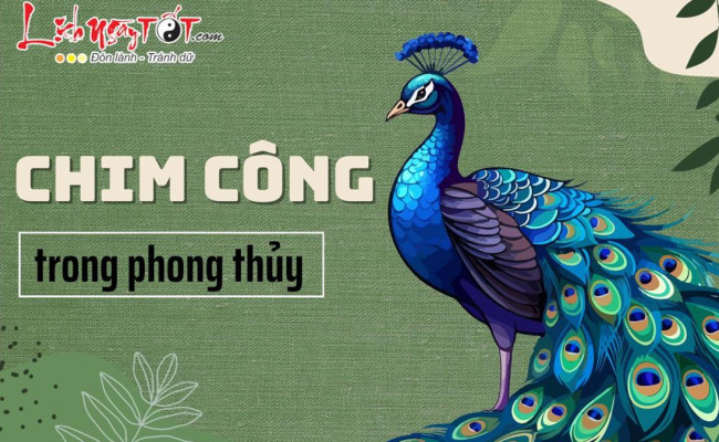 Chim CÔNG trong phong thủy: Biết dùng đúng cách vừa may mắn vừa dồi dào tài lộc, làm ăn tấn tới