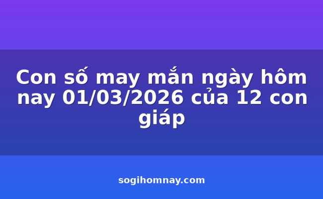 Con số may mắn ngày hôm nay 01/03/2026 của 12 con giáp