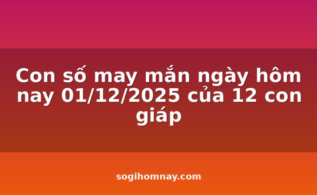 Con số may mắn ngày hôm nay 01/12/2025 của 12 con giáp