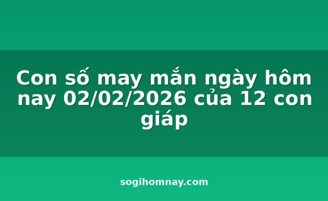 Con số may mắn ngày hôm nay 02/02/2026 của 12 con giáp