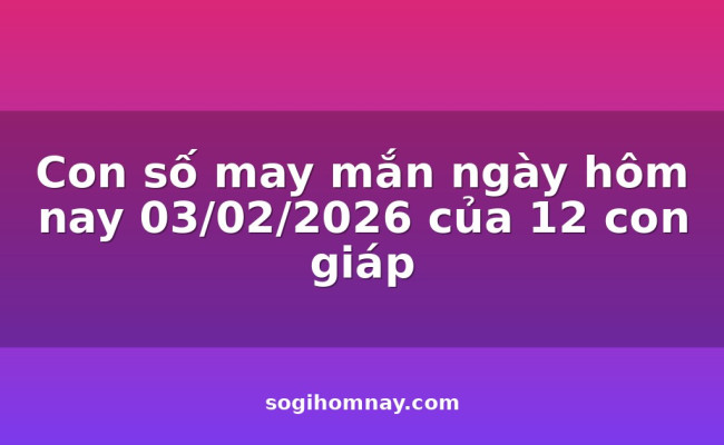 Con số may mắn ngày hôm nay 03/02/2026 của 12 con giáp