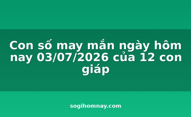 Con số may mắn ngày hôm nay 03/07/2026 của 12 con giáp