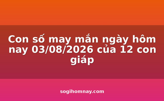 Con số may mắn ngày hôm nay 03/08/2026 của 12 con giáp