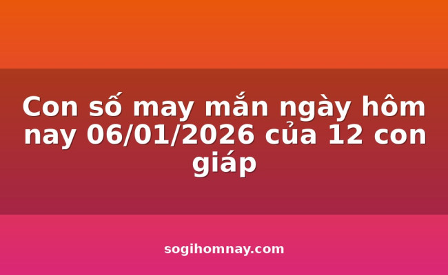 Con số may mắn ngày hôm nay 06/01/2026 của 12 con giáp