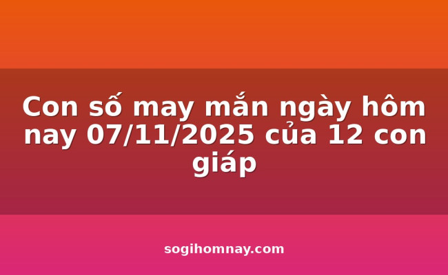 Con số may mắn ngày hôm nay 07/11/2025 của 12 con giáp