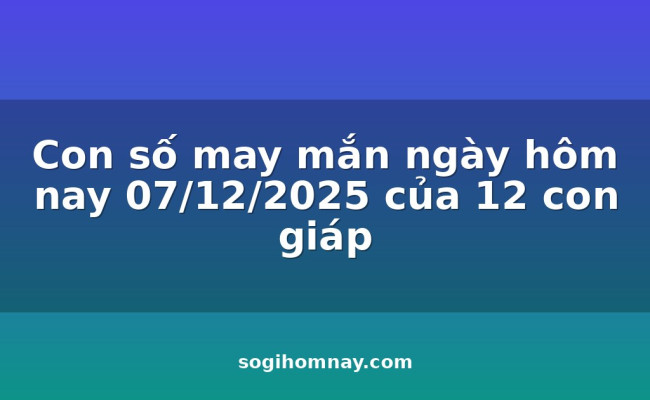 Con số may mắn ngày hôm nay 07/12/2025 của 12 con giáp