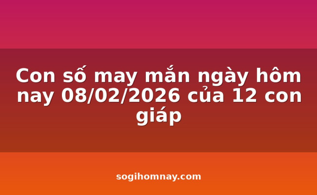 Con số may mắn ngày hôm nay 08/02/2026 của 12 con giáp