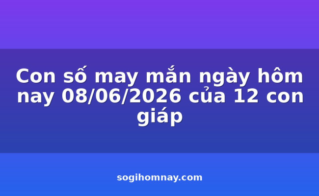 Con số may mắn ngày hôm nay 08/06/2026 của 12 con giáp
