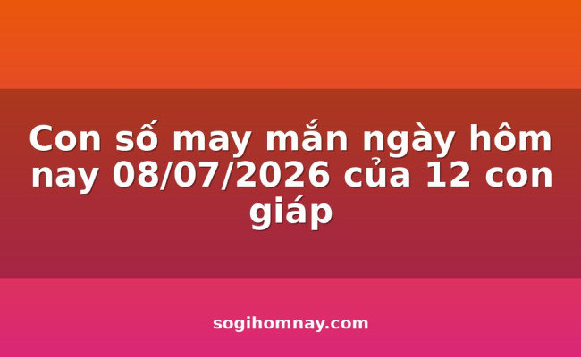 Con số may mắn ngày hôm nay 08/07/2026 của 12 con giáp