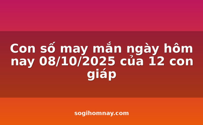 Con số may mắn ngày hôm nay 08/10/2025 của 12 con giáp