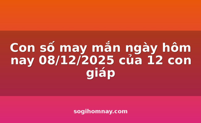 Con số may mắn ngày hôm nay 08/12/2025 của 12 con giáp