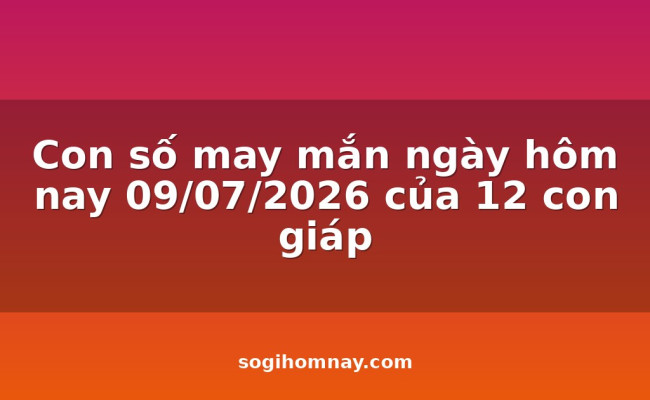 Con số may mắn ngày hôm nay 09/07/2026 của 12 con giáp