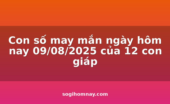Con số may mắn ngày hôm nay 09/08/2025 của 12 con giáp