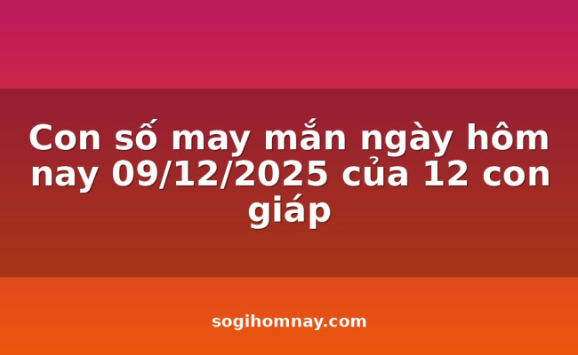 Con số may mắn ngày hôm nay 09/12/2025 của 12 con giáp