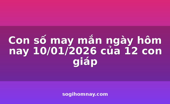 Con số may mắn ngày hôm nay 10/01/2026 của 12 con giáp