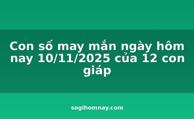 Con số may mắn ngày hôm nay 10/11/2025 của 12 con giáp