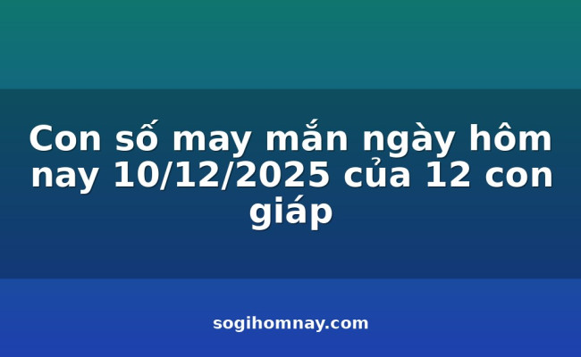 Con số may mắn ngày hôm nay 10/12/2025 của 12 con giáp