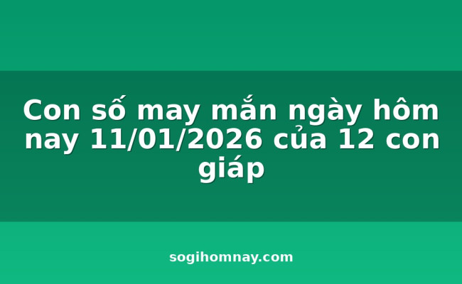 Con số may mắn ngày hôm nay 11/01/2026 của 12 con giáp