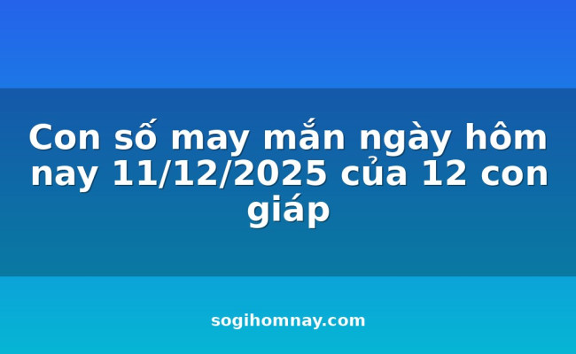 Con số may mắn ngày hôm nay 11/12/2025 của 12 con giáp