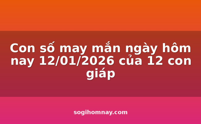 Con số may mắn ngày hôm nay 12/01/2026 của 12 con giáp