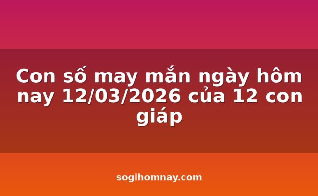 Con số may mắn ngày hôm nay 12/03/2026 của 12 con giáp