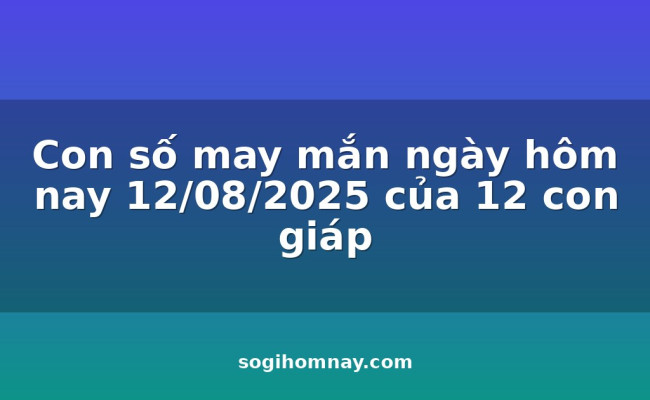Con số may mắn ngày hôm nay 12/08/2025 của 12 con giáp