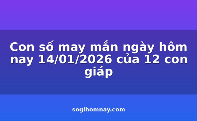 Con số may mắn ngày hôm nay 14/01/2026 của 12 con giáp