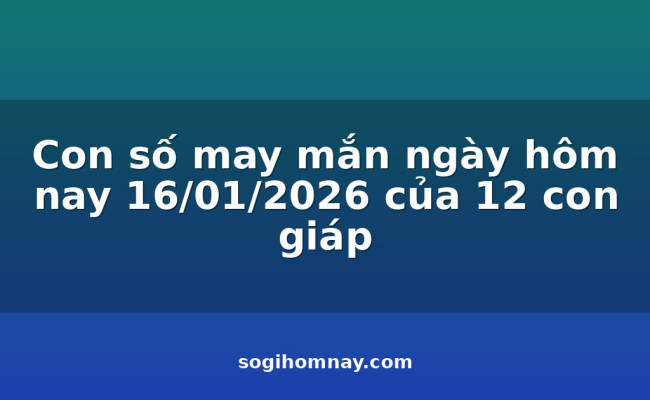 Con số may mắn ngày hôm nay 16/01/2026 của 12 con giáp