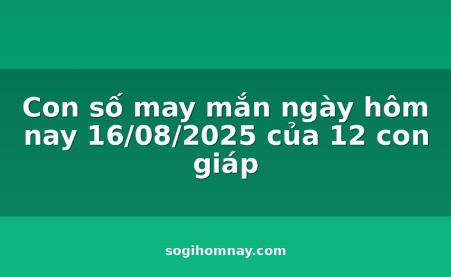 Con số may mắn ngày hôm nay 16/08/2025 của 12 con giáp