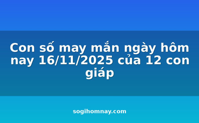 Con số may mắn ngày hôm nay 16/11/2025 của 12 con giáp