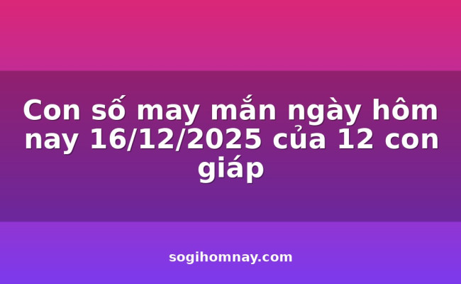 Con số may mắn ngày hôm nay 16/12/2025 của 12 con giáp