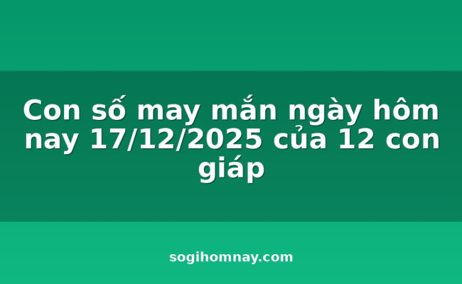 Con số may mắn ngày hôm nay 17/12/2025 của 12 con giáp