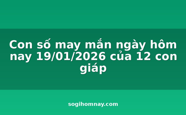 Con số may mắn ngày hôm nay 19/01/2026 của 12 con giáp
