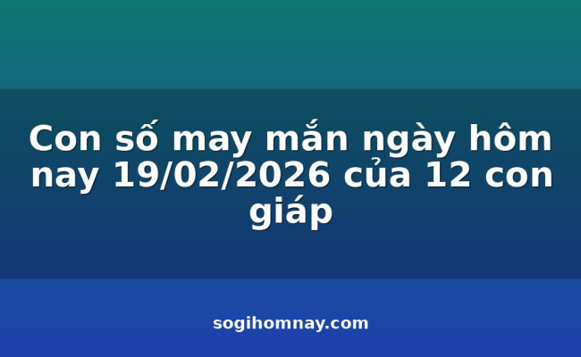 Con số may mắn ngày hôm nay 19/02/2026 của 12 con giáp