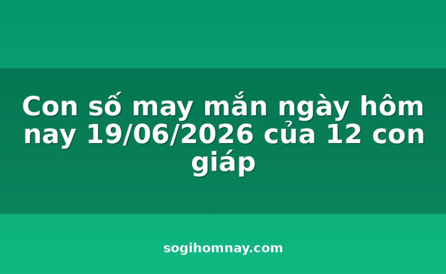 Con số may mắn ngày hôm nay 19/06/2026 của 12 con giáp