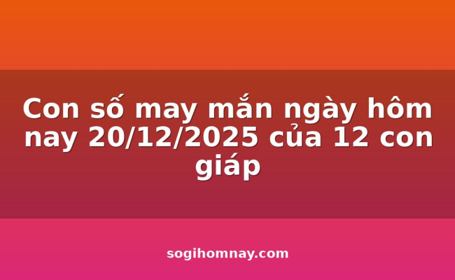 Con số may mắn ngày hôm nay 20/12/2025 của 12 con giáp