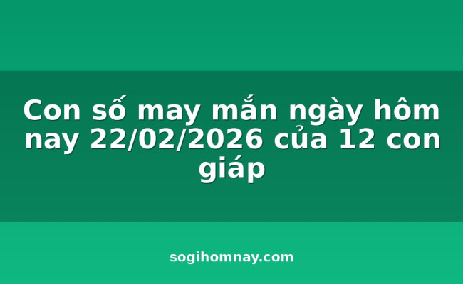 Con số may mắn ngày hôm nay 22/02/2026 của 12 con giáp