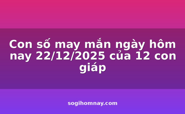 Con số may mắn ngày hôm nay 22/12/2025 của 12 con giáp